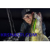 Воблер Daiwa Tournament XL Shiner 130F длина 130мм вес 22,5гр